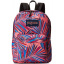Молодіжний рюкзак Jansport Superbreak 25L Різнокольоровий Львів