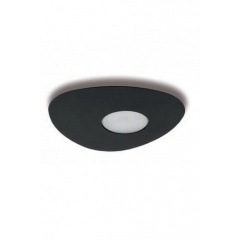 Точечный светильник ORGANIC 1 BK Nowodvorski 8303 Изюм