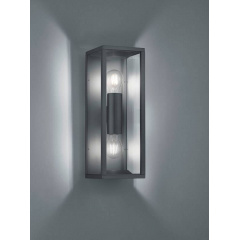 Уличный настенный светильник TRIO GARONNE 201860242 Луцк