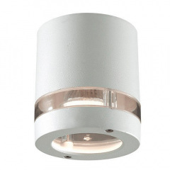 Уличный настенный светильник Ideal Lux Plutone AP1 Bianco Полтава