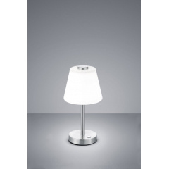 Настольная лампа TRIO EMERALD 525490107 Днепрорудное