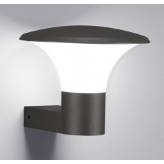 Настенный уличный светильник TRIO KONGO 220160142 Дніпрорудне