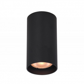 Точковий світильник Italux Lopus Чорний (CLN-48930-S-BK)