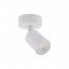 Точковий світильник TK Lighting TOP Білий (TK6197) Ізюм