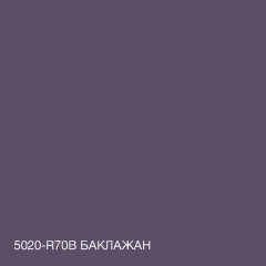 Краска Интерьерная Латексная Skyline 5020-R70B (C) Баклажан 3л Бровары
