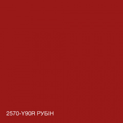 Краска Интерьерная Латексная Skyline 2570-Y90R (C) Рубин 5л Бердичев