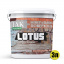 Лак акриловый для минеральных поверхностей Мокрый камень Lotus прозрачный 3л Киев