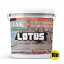 Лак акриловый для минеральных поверхностей Мокрый камень LOTUS прозрачный 10л Чернигов