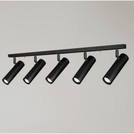 Светильник потолочный MSK Electric Telescope с повортными плафонами NL 22501-5 BK