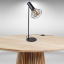 Настільна лампа лофт MSK Electric Diadem NL 22153 BK+BN Ужгород