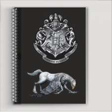 Блокнот Beauty Special А6 Harry Potter (9922)