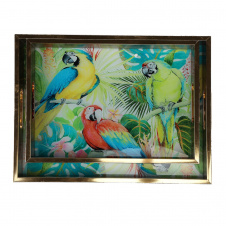 Комплект подносов Parrots 40х30 см из 2 штук AL121002 Lefard