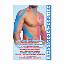 Плакат Vivay Кинезиотейпирование А1 (5449)