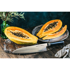 Нож кухонный Samura Шеф 240 мм Mo-V (SM-0087) Славута