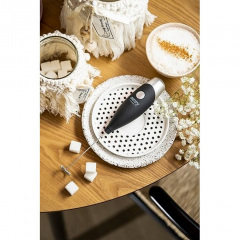 Взбиватель молока с венчиком на подставке Camry CR 4501 Нововолынск