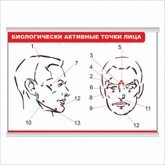 Плакат Vivay Біологічно активні точки обличчя з планкою А3 (9206) Жмеринка
