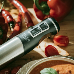 Погружной блендер Adler AD 4628 Steel/Black Ивано-Франковск