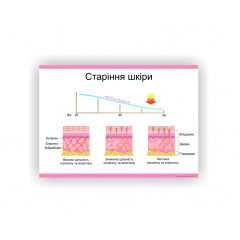 Плакат Vivay Старіння шкіри 30 х 40 см Білий Полтава