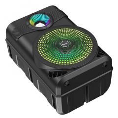 Караоке колонка с микрофоном HOCO BS46 и радио BT5.0 Black Чернигов