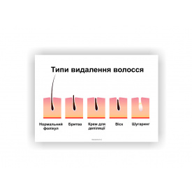 Плакат Типи видалення волосся Vivay 30х40 см Білий