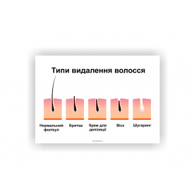 Плакат Типи видалення волосся Vivay 84х118 см Білий