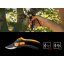Плоскостной секатор Fiskars Plus P541 (1057169) Киев