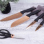 Набор ножей из 5 предметов Berlinger Haus Black Rose Collection (BH-2652) Чернигов