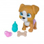 Игровой набор Simba Pamper Petz Щенок с сюрпризами 15 см Разноцветный IG116530 Токмак
