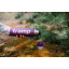 Термос Tramp Expedition Line UTRC-027 0,9 л purple Черновцы