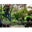 Культиватор Fiskars Ergonomic 136510 (1001301) Ворожба
