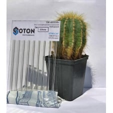 Полікарбонат сотовий (стільниковий) SOTON прозорий 10мм