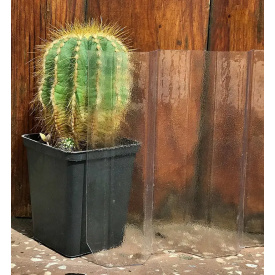 Профильный поликарбонат Suntuf колотый лед прозрачная 2УФ-защита