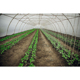 Теплиця "Західна-8х8" 8х8х3,5м + плівка 150 мкм+ зигзаг профіль