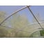 Теплиця "Дарина" 4х6м, труба 20х20мм з плівкою 120 мкм Київ