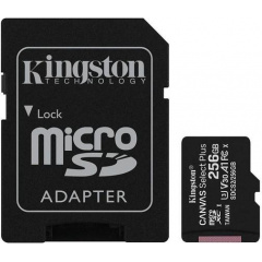 Карта пам'яті Kingston microSDHC 256GB Canvas Select + A1 (W100/W85) + адаптер SD (6519924) Суми