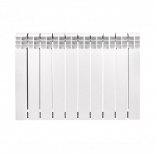 Thermo Alliance Bi-Vulcan 500/100
