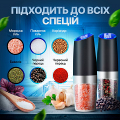 Набор мельниц для соли перца специй SBTR 2 предмета на батарейках Черный (SPM-12/Black) Александрия