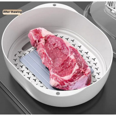 Лоток OPT-TOP для размораживания домашних продуктов 6 в 1 (2103354305) Бердичів