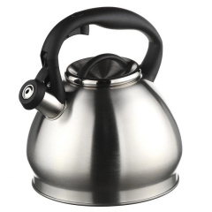 Чайник со свистком A-PLUS 1374 3 л Steel Запорожье