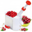 Машинка для удаления косточек из вишни RIAS Cherry and Olive Corer (np2_1884) Тернопіль