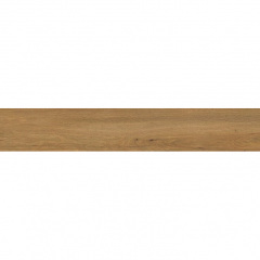 Плитка PARADYZ Trueland Gold RECT 198x1198x9 мм Хмельницький