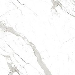 Плитка MEGAGRES STATUARIO LUCAS GLOSSY 8х600х600 мм Павлоград