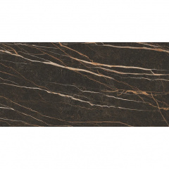 Плитка PARADYZ Pleasure Brown SZKL RECT MAT 598x1198 мм Житомир