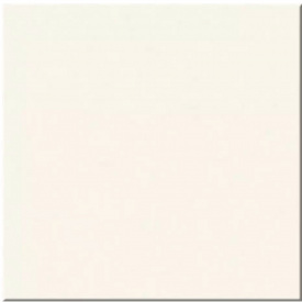 Плитка MEGAGRES WHITE POL PJ6900 9х600х600 мм