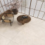 Плитка MEGAGRES SIENA CREAM MATT 9х1598х798 мм Кривой Рог