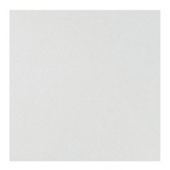 Плита AMF Antaris C (Armstrong Sierra) Board 13х600x600 мм Житомир