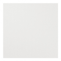 Плита ARMSTRONG PLAIN Tegular 24 15х600х600мм Королёво