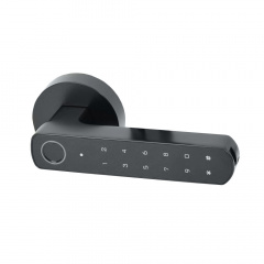 Розумний дверний замок Atis Lock BT-100-T Black Одеса