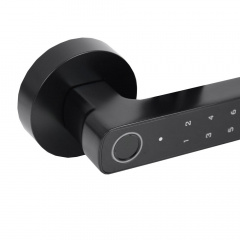 Розумний дверний замок Atis Lock BT-100-T Black Одеса