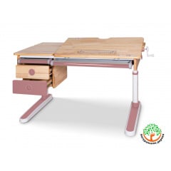 Mealux Дитячий стіл Mealux Oxford Wood PN з шухлядою (арт. BD-920 Wood PN з шухлядою) Камінь-Каширський